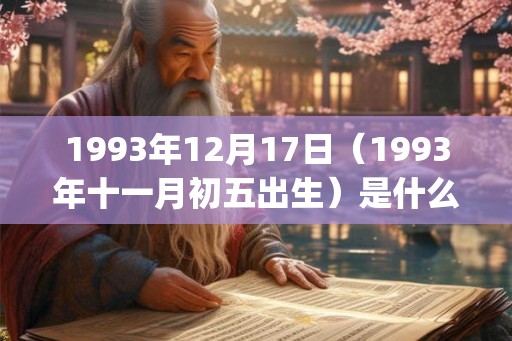1993年12月17日（1993年十一月初五出生）是什么命_命运如何