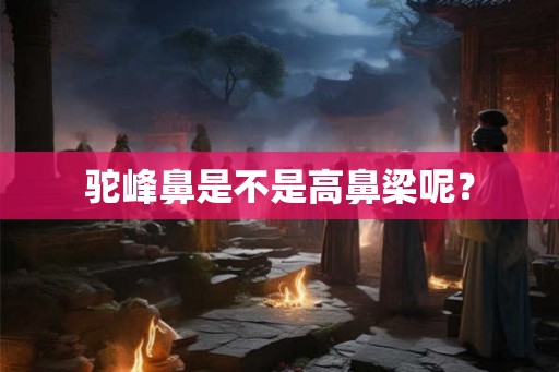 驼峰鼻是不是高鼻梁呢？