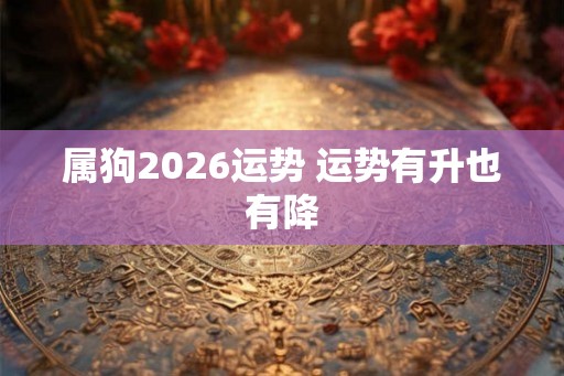 属狗2026运势 运势有升也有降