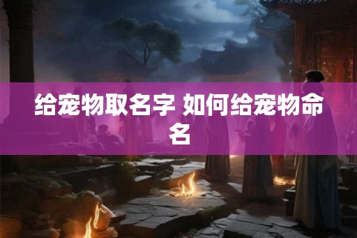 给宠物取名字 如何给宠物命名 给宠物取名字 如何给宠物命名
