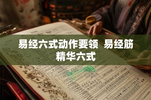 易经六式动作要领 易经筋精华六式 易经六式动作要领 易经筋精华六式
