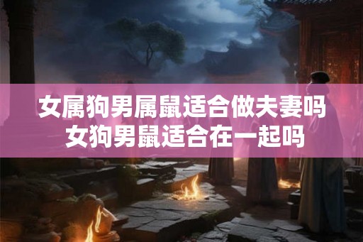 女属狗男属鼠适合做夫妻吗 女狗男鼠适合在一起吗