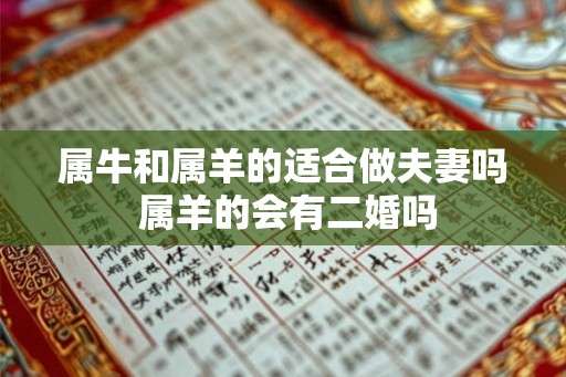 属牛和属羊的适合做夫妻吗 属羊的会有二婚吗