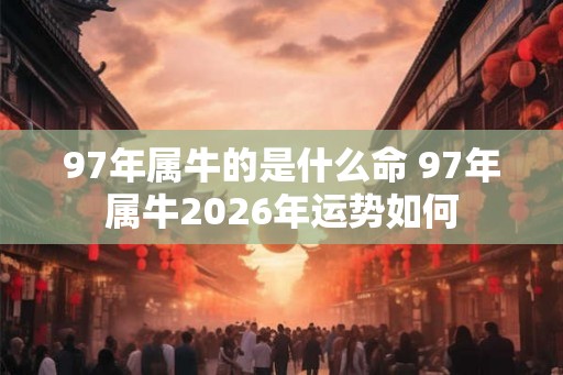 97年属牛的是什么命 97年属牛2026年运势如何