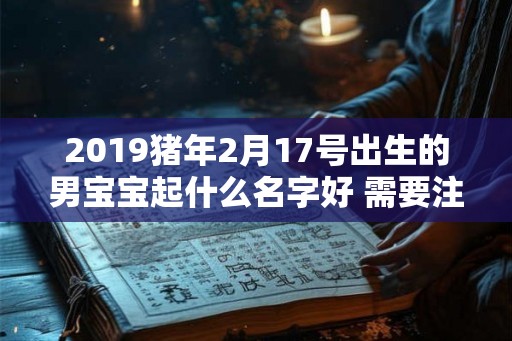 2019猪年2月17号出生的男宝宝起什么名字好 需要注意什么