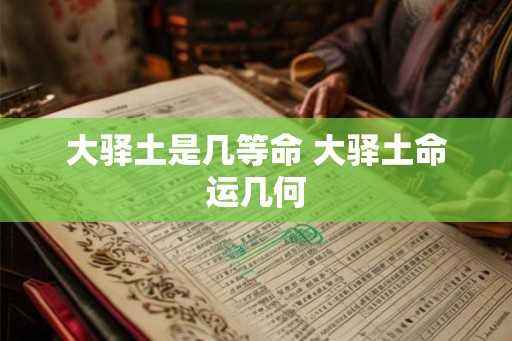 大驿土是几等命 大驿土命运几何