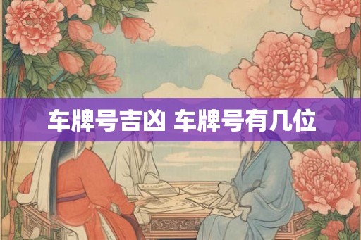 车牌号吉凶 车牌号有几位