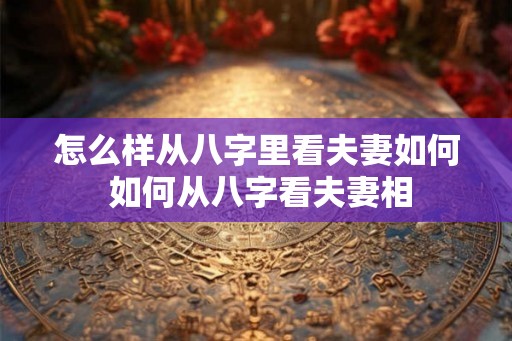 怎么样从八字里看夫妻如何 如何从八字看夫妻相