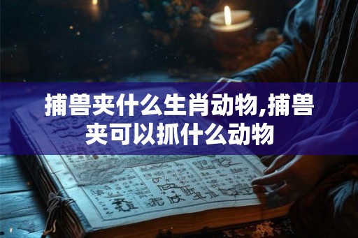 捕兽夹什么生肖动物,捕兽夹可以抓什么动物