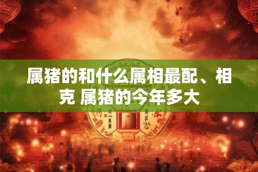 属猪的和什么属相最配、相克 属猪的今年多大