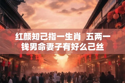 红颜知己指一生肖  五两一钱男命妻子有好么己丝