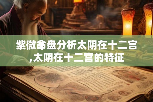 紫微命盘分析太阴在十二宫,太阴在十二宫的特征