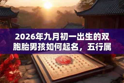 2026年九月初一出生的双胞胎男孩如何起名，五行属什么