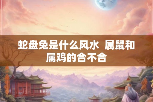 蛇盘兔是什么风水  属鼠和属鸡的合不合