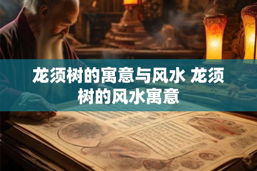 龙须树的寓意与风水 龙须树的风水寓意