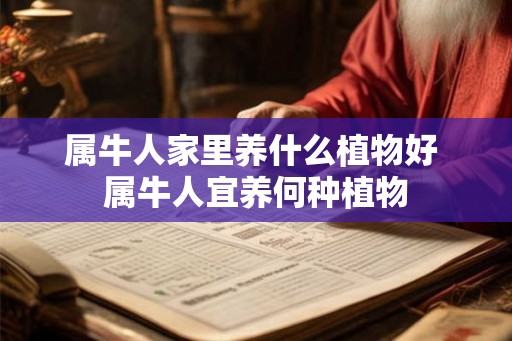 属牛人家里养什么植物好 属牛人宜养何种植物