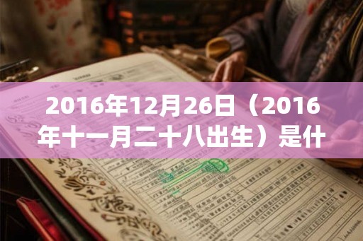 2016年12月26日（2016年十一月二十八出生）是什么命_命运如何