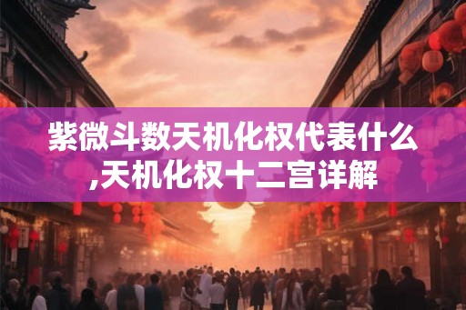 紫微斗数天机化权代表什么,天机化权十二宫详解