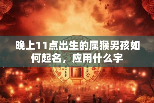 晚上11点出生的属猴男孩如何起名，应用什么字