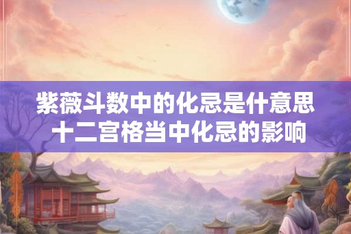 紫薇斗数中的化忌是什意思 十二宫格当中化忌的影响