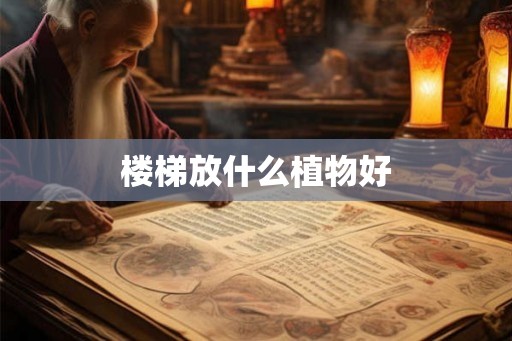 楼梯放什么植物好