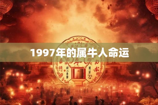 1997年的属牛人命运
