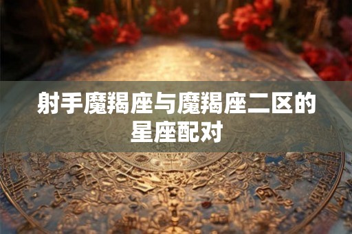 射手魔羯座与魔羯座二区的星座配对