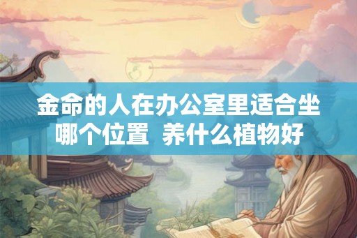 金命的人在办公室里适合坐哪个位置  养什么植物好