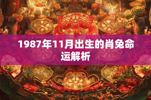 1987年11月出生的肖兔命运解析