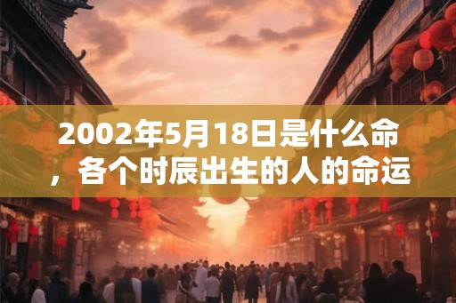 2002年5月18日是什么命，各个时辰出生的人的命运