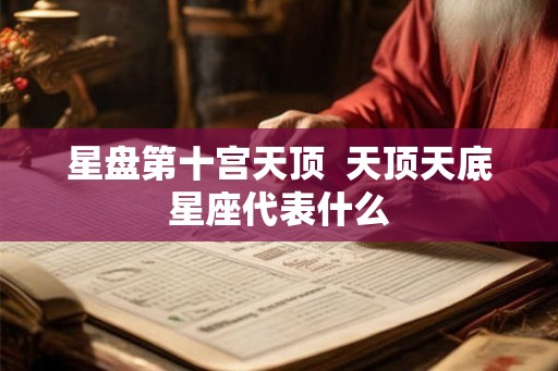 星盘第十宫天顶  天顶天底星座代表什么