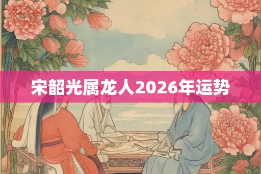宋韶光属龙人2026年运势