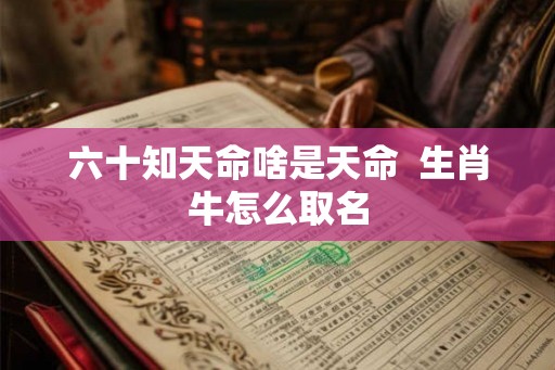 六十知天命啥是天命  生肖牛怎么取名