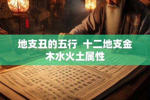 地支丑的五行  十二地支金木水火土属性