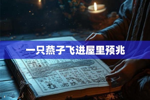 一只燕子飞进屋里预兆