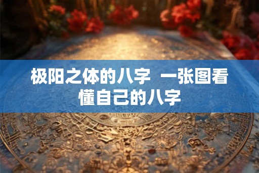 极阳之体的八字  一张图看懂自己的八字