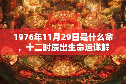 1976年11月29日是什么命，十二时辰出生命运详解