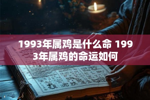 1993年属鸡是什么命 1993年属鸡的命运如何