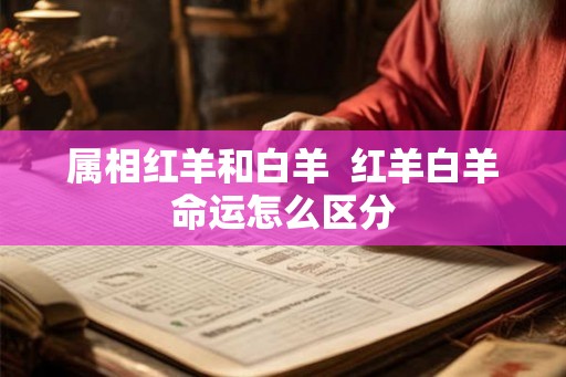 属相红羊和白羊  红羊白羊命运怎么区分