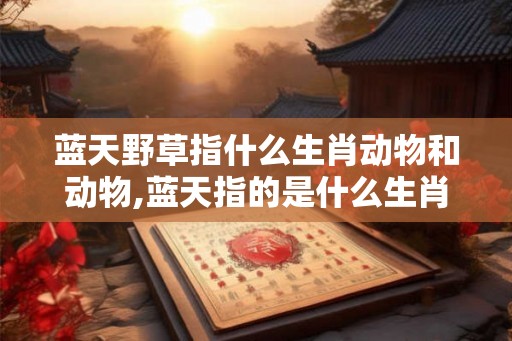 蓝天野草指什么生肖动物和动物,蓝天指的是什么生肖动物