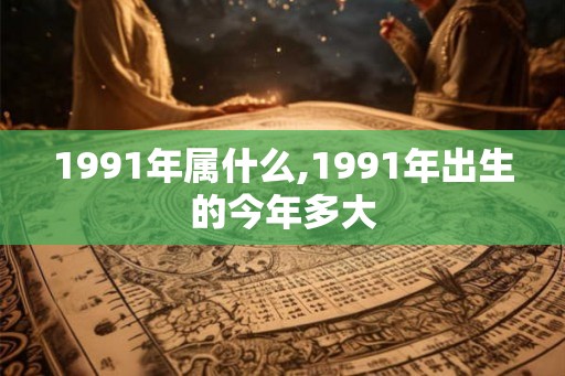 1991年属什么,1991年出生的今年多大