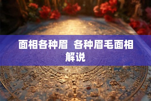 面相各种眉 各种眉毛面相解说 面相各种眉 各种眉毛面相解说