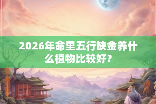 2026年命里五行缺金养什么植物比较好？