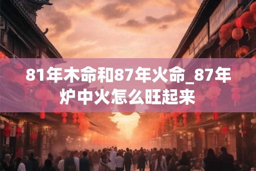 81年木命和87年火命_87年炉中火怎么旺起来 81年木命和87年火命_87年炉中火怎么旺起来