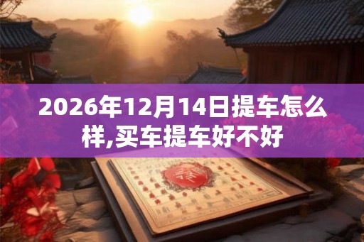 2026年12月14日提车怎么样,买车提车好不好