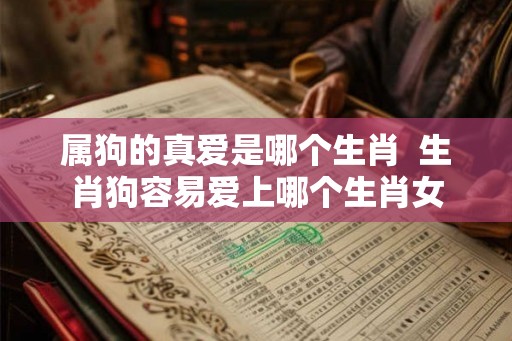属狗的真爱是哪个生肖  生肖狗容易爱上哪个生肖女