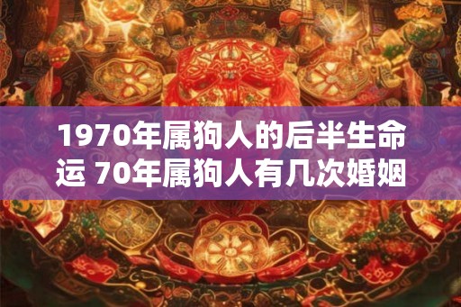 1970年属狗人的后半生命运 70年属狗人有几次婚姻