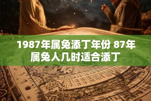 1987年属兔添丁年份 87年属兔人几时适合添丁 1987年属兔添丁年份 87年属兔人几时适合添丁