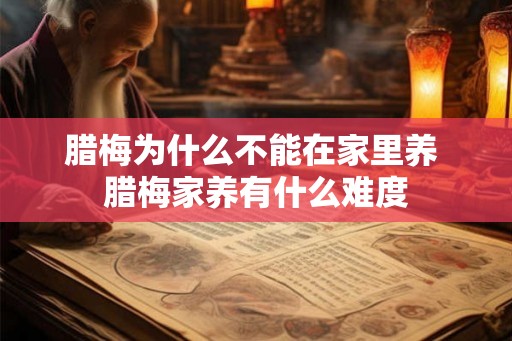 腊梅为什么不能在家里养 腊梅家养有什么难度