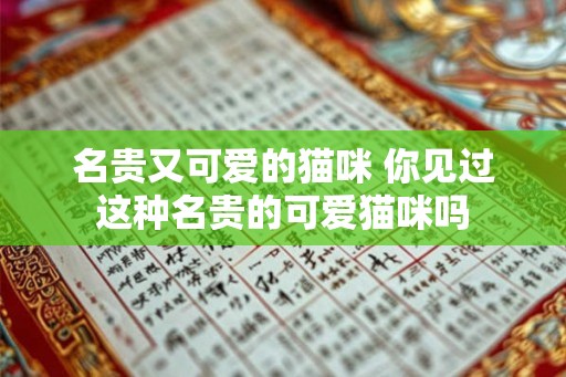 名贵又可爱的猫咪 你见过这种名贵的可爱猫咪吗 名贵又可爱的猫咪 你见过这种名贵的可爱猫咪吗